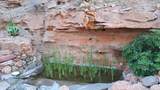 700 Rattlesnake Road - Photo 14