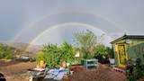 700 Rattlesnake Road - Photo 22