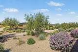 39478 Trajen Place - Photo 36