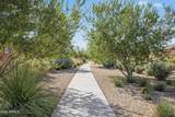 39478 Trajen Place - Photo 38