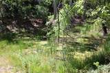 000 Ash Creek Road - Photo 43