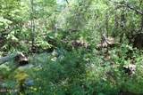 0 Ash Creek Road - Photo 28