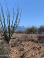 640 Canyon Rock Road - Photo 27