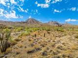 14310 Desert Tortoise Trail - Photo 1