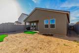 47695 Coe Street - Photo 24