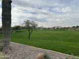 7699 Tether Trail - Photo 9