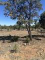 4131 Sunset Ridge Loop - Photo 1