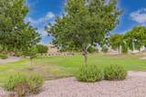 33025 Mildred Lane - Photo 40