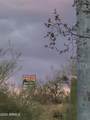 518XX Mockingbird Trail - Photo 15