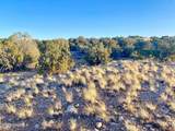 TBD Co Rd 5062 2.39 Acres - Photo 12