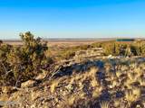 TBD Co Rd 5062 2.39 Acres - Photo 13