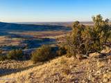 TBD Co Rd 5062 2.39 Acres - Photo 2