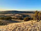 TBD Co Rd 5062 2.39 Acres - Photo 4