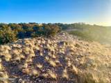 TBD Co Rd 5062 2.39 Acres - Photo 9