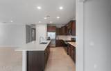 7691 Cactus Wren Way - Photo 10