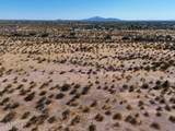 0 Cactus Forest Road - Photo 15