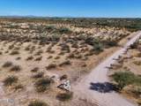 0 Cactus Forest Road - Photo 16