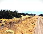 Lot 261 Elk Valley Ranch - Photo 5