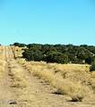 Lot 261 Elk Valley Ranch - Photo 6