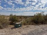 43925 Saguaro Blossom Lane - Photo 1