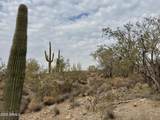 43925 Saguaro Blossom Lane - Photo 4