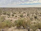 43925 Saguaro Blossom Lane - Photo 5