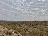 43925 Saguaro Blossom Lane - Photo 6