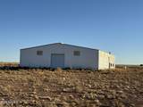 1259 Stallion Road - Photo 25