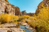 000 Bell Cow Aka Rock Art Ranch Road - Photo 15