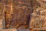 000 Bell Cow Aka Rock Art Ranch Road - Photo 20