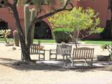4303 Cactus Road - Photo 20