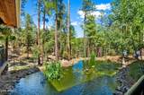 5201 Yellow Dog Road - Photo 9
