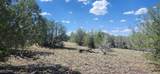 Lot 5 Edgewood Drive - Photo 6
