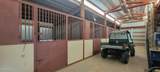 11 Irene Street - Photo 40