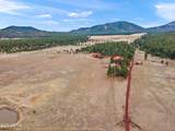 8222 Spring Valley Road - Photo 137