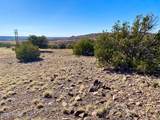 TBD Co Rd 5062 Lot 1 3.53 Acres - Photo 10