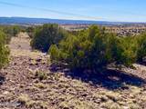TBD Co Rd 5062 Lot 1 3.53 Acres - Photo 16