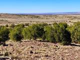 TBD Co Rd 5062 Lot 1 3.53 Acres - Photo 18