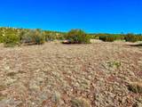 TBD Co Rd 5062 Lot 1 3.53 Acres - Photo 4