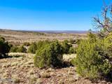 TBD Co Rd 5062 Lot 1 3.53 Acres - Photo 9