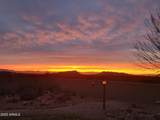 4515 Rose Court - Photo 41
