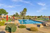 3640 Torrey Pines Lane - Photo 48