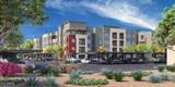 16985 Van Buren Street - Photo 8