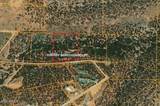 9790 Antrim Road - Photo 12