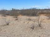 76XX 395th Avenue - Photo 14