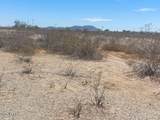 76XX 395th Avenue - Photo 16