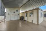 301 Cholla Lane - Photo 18
