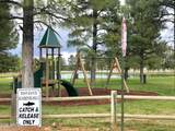 2399 Quarter Horse Trail - Photo 23