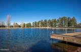 2399 Quarter Horse Trail - Photo 25