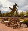 2399 Quarter Horse Trail - Photo 37